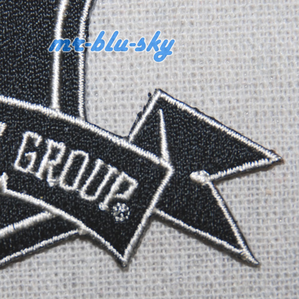 Rebel Logo Patch ~ Harley Davidson Owners Group H.O.G.