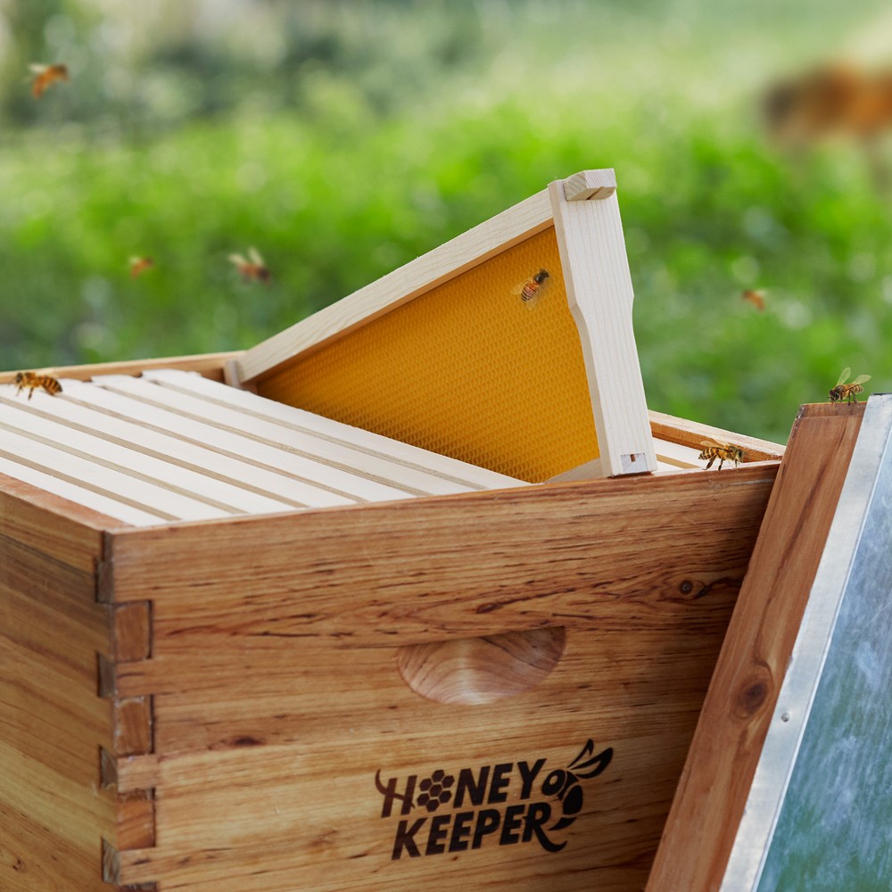 10-Pack Unassembled Medium Super Frames Waxed - Yellow