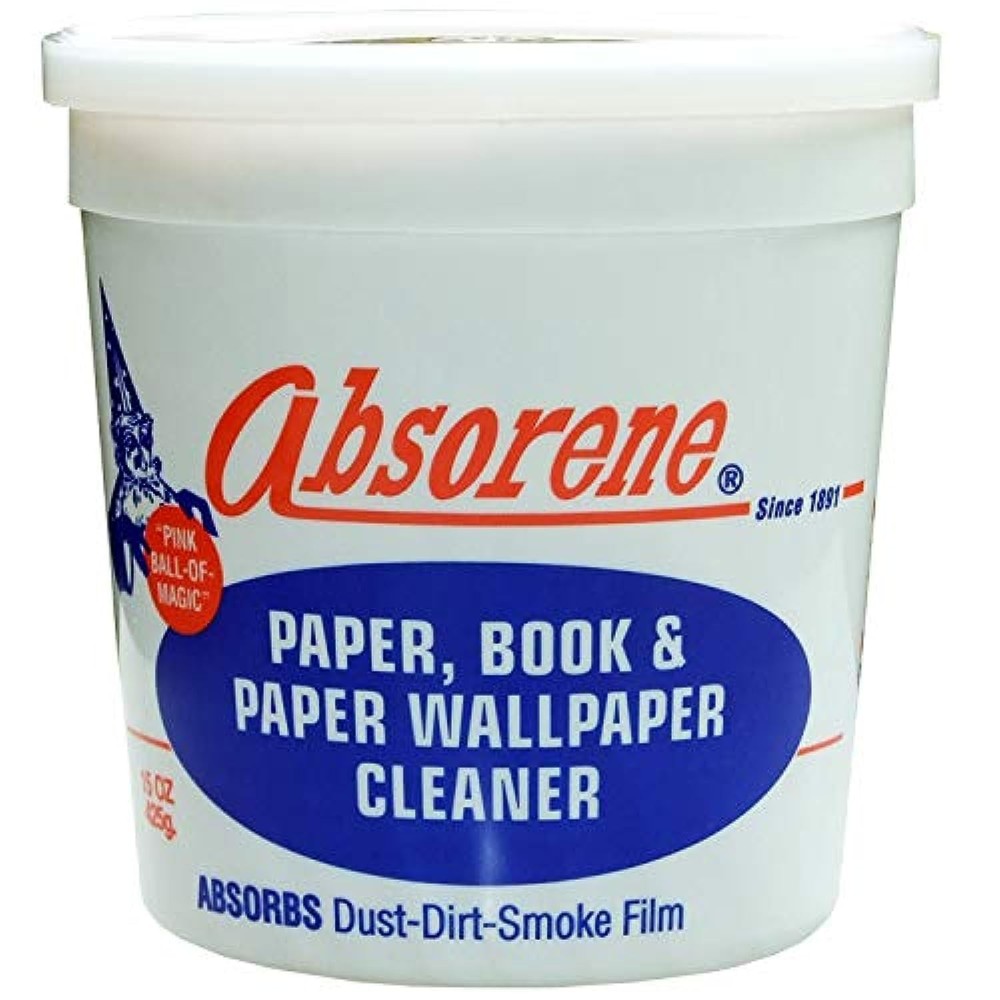 Absorene Book and Document Cleaner 1 Count (Pack of 1)