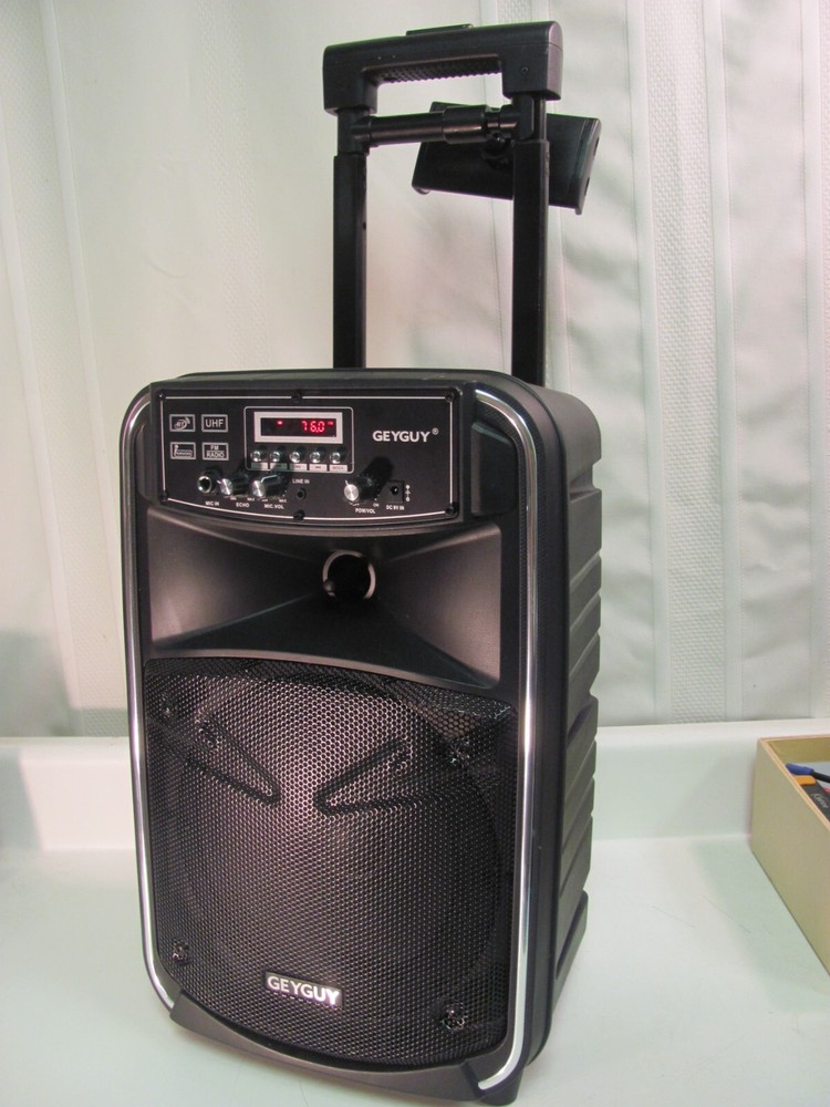 GEYGUY GTSK8-2 Bluetooth PA Karaoke Speaker Machine