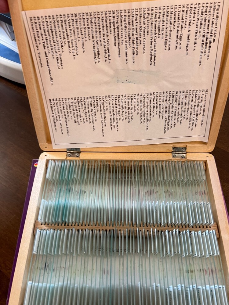 Amscope microscope set