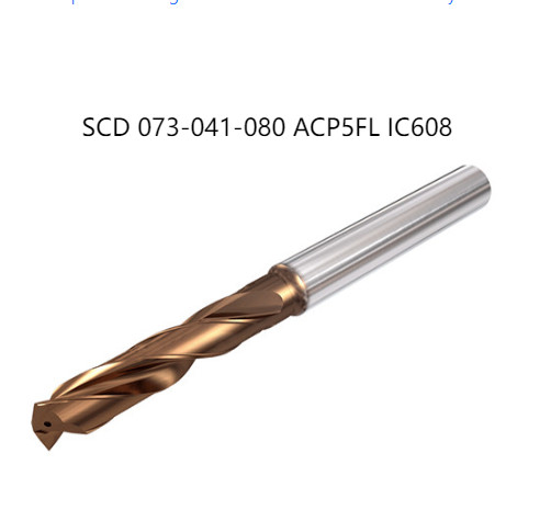 1  PCS  ORIGINAL  INSERTS  ‎‎‎‎‎SCD 073-041-080 ACP5FL IC608