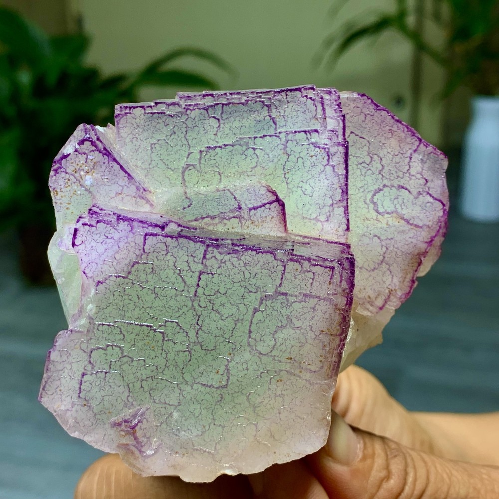 3 Code"Fluorite Cluster Crystal Mineral Specimen/Guizhou