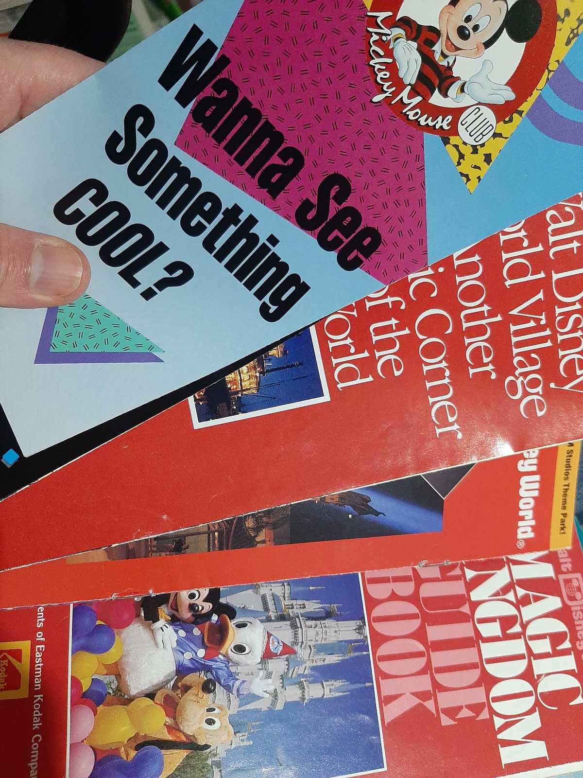 HUGE LOT - DISNEY WORLD and FLORIDA Sites - Brochures Books Souvenirs - 80s-90s