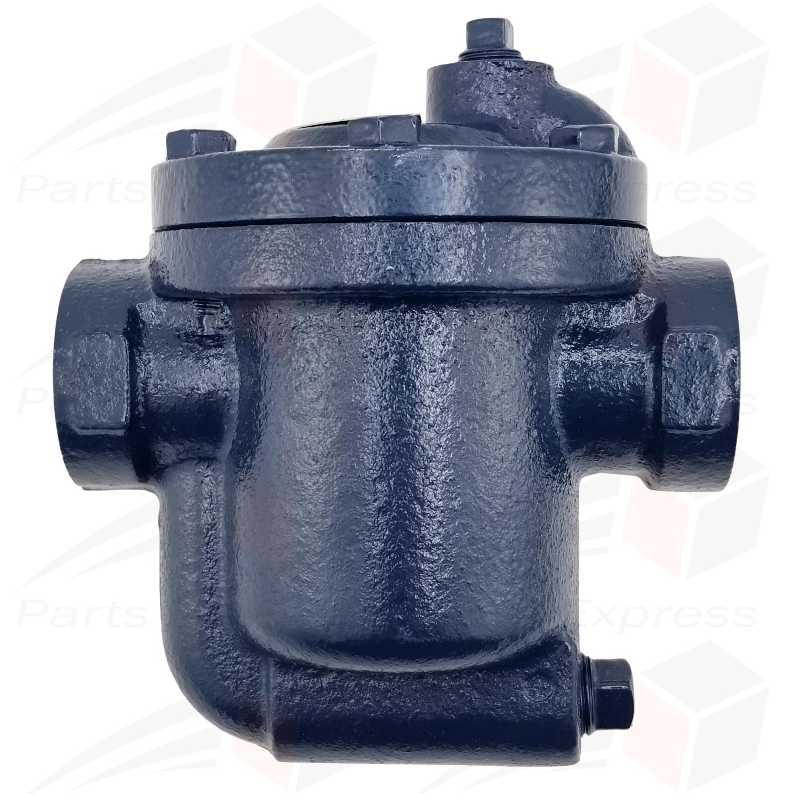 3/4" DAVID™ Inverted Bucket Steam Trap w/Built-In Strainer & Drain (Max 125 psi)