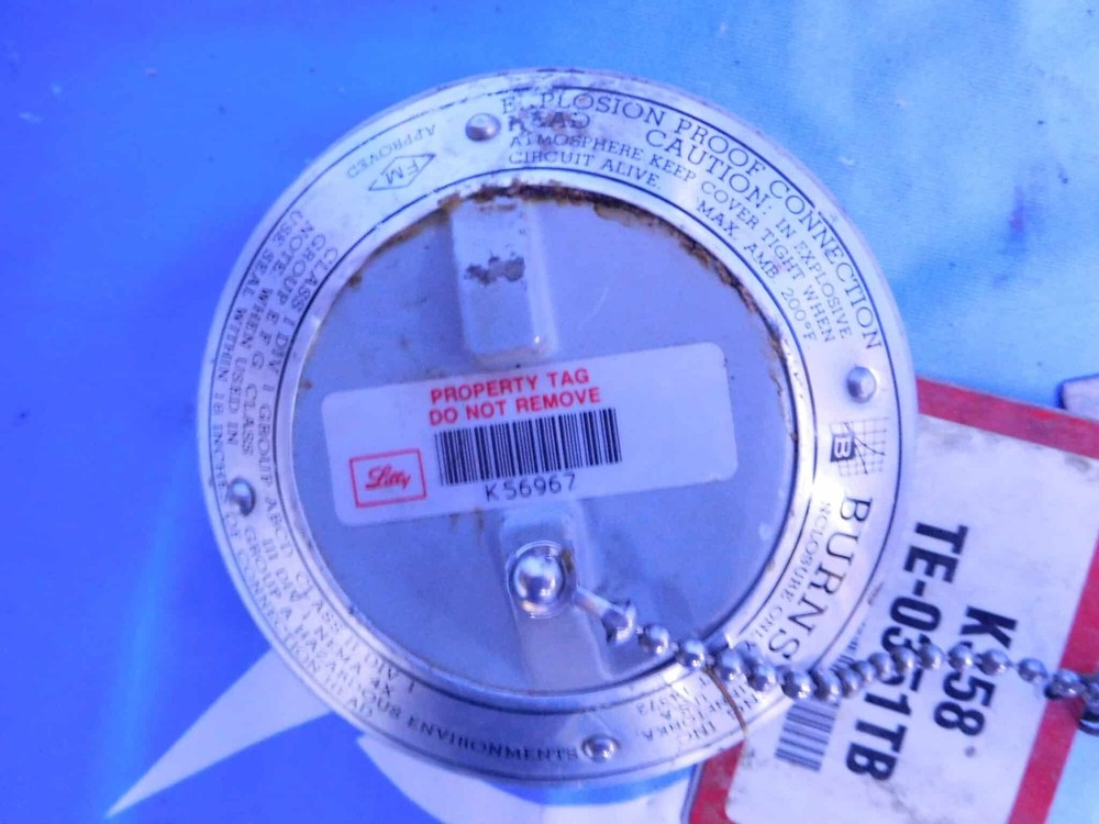 BURNS EXPLOSION PROOF TEMPERATURE PROBE 14372/K358-TE-0351TB