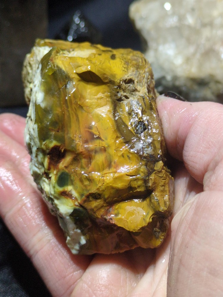 Opalized Wood Unique Banding Specimen Natural Form (10oz)