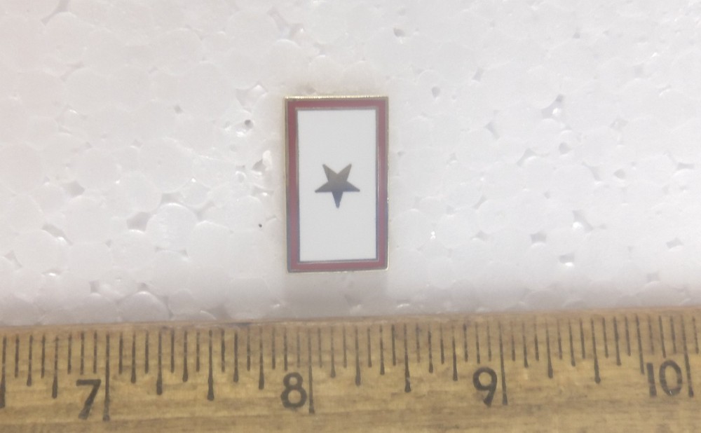 Gold Star Pin