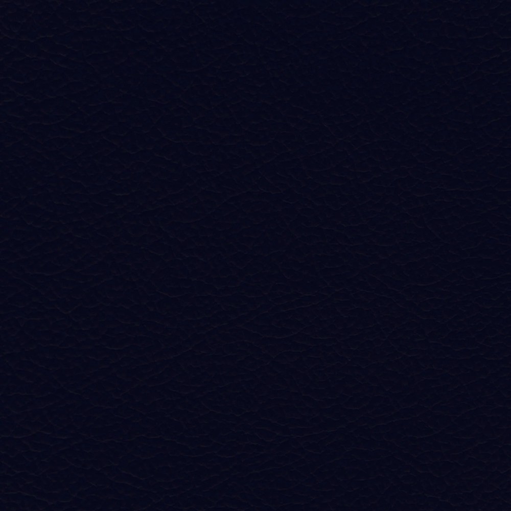 GM Navy Leather Dye