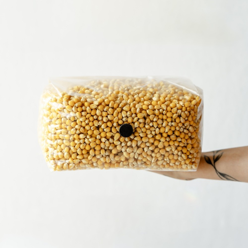 6 Pack | 5lb Drippy Corn Grain Spawn