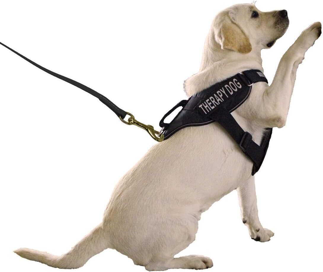 Viper Biothane Working Tracking Lead Leash Long for Dogs 5 Colors and 16 Sizes