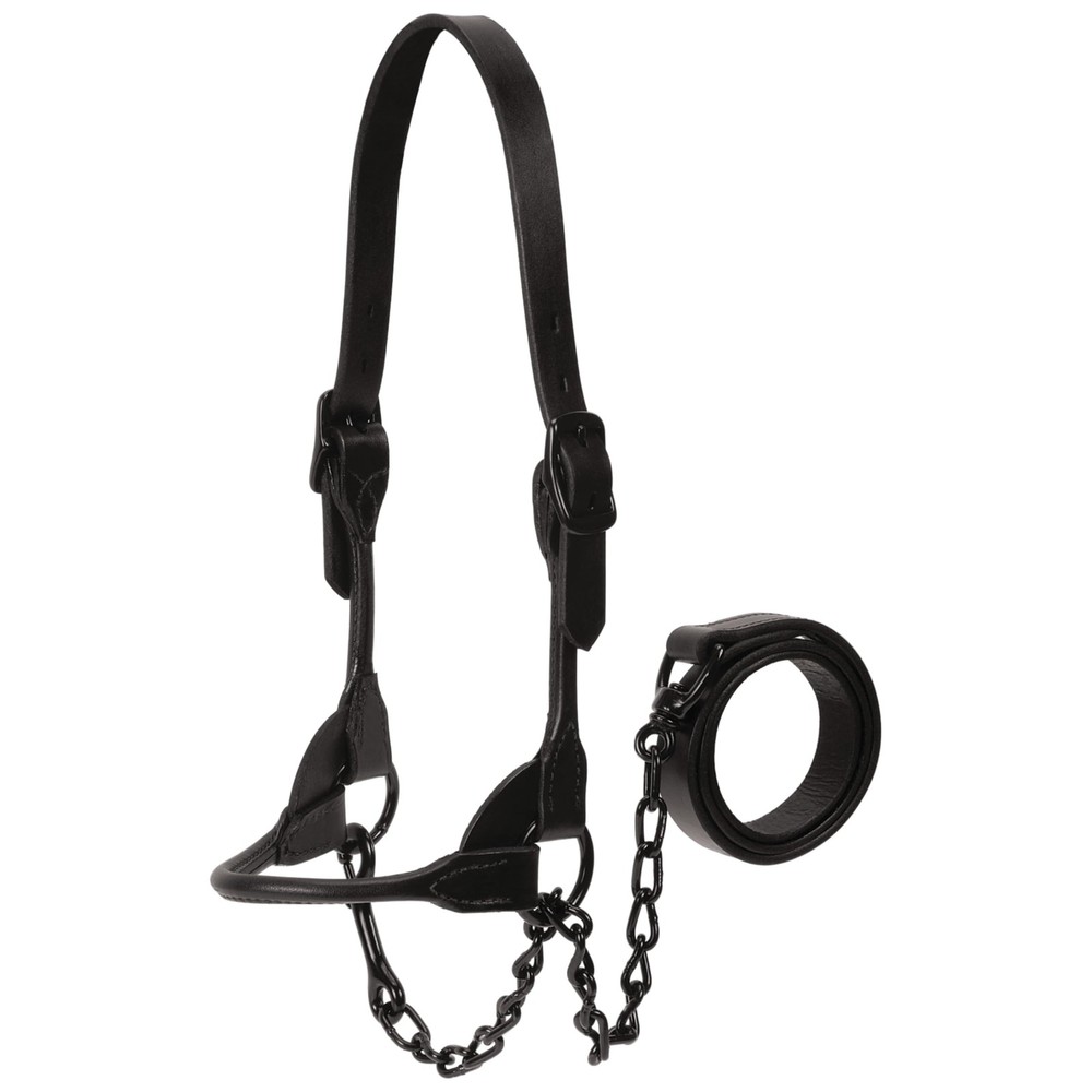 Weaver Livestock Leather Magic Show Cattle Halter - Adjustable, Durable