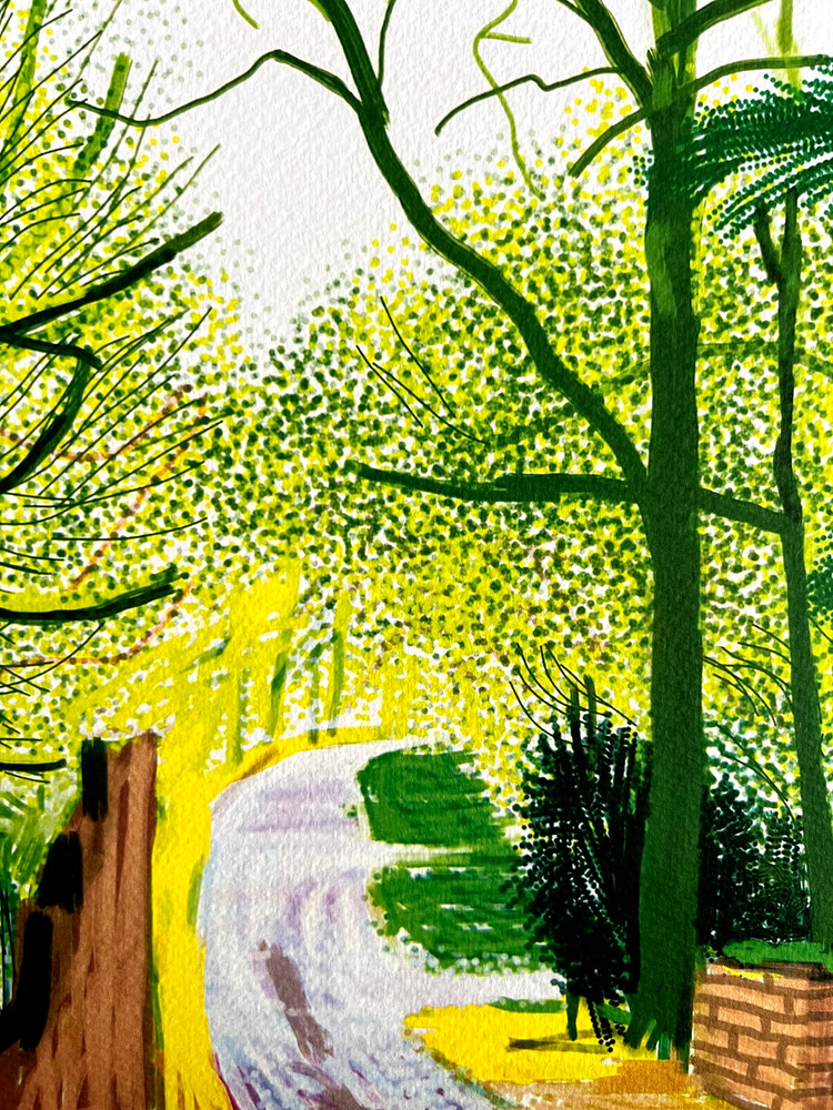 David Hockney Lithograph COA Original Signed Op Numbered Limited &