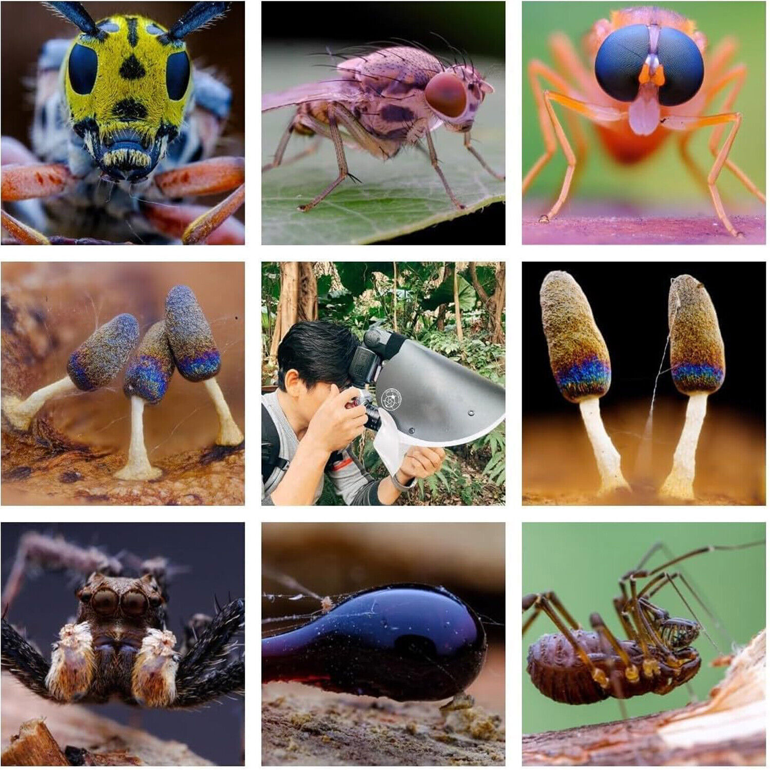 GUAGE Macro Camera Flash light Speedlite Softbox Diffuser Reflector Small Size