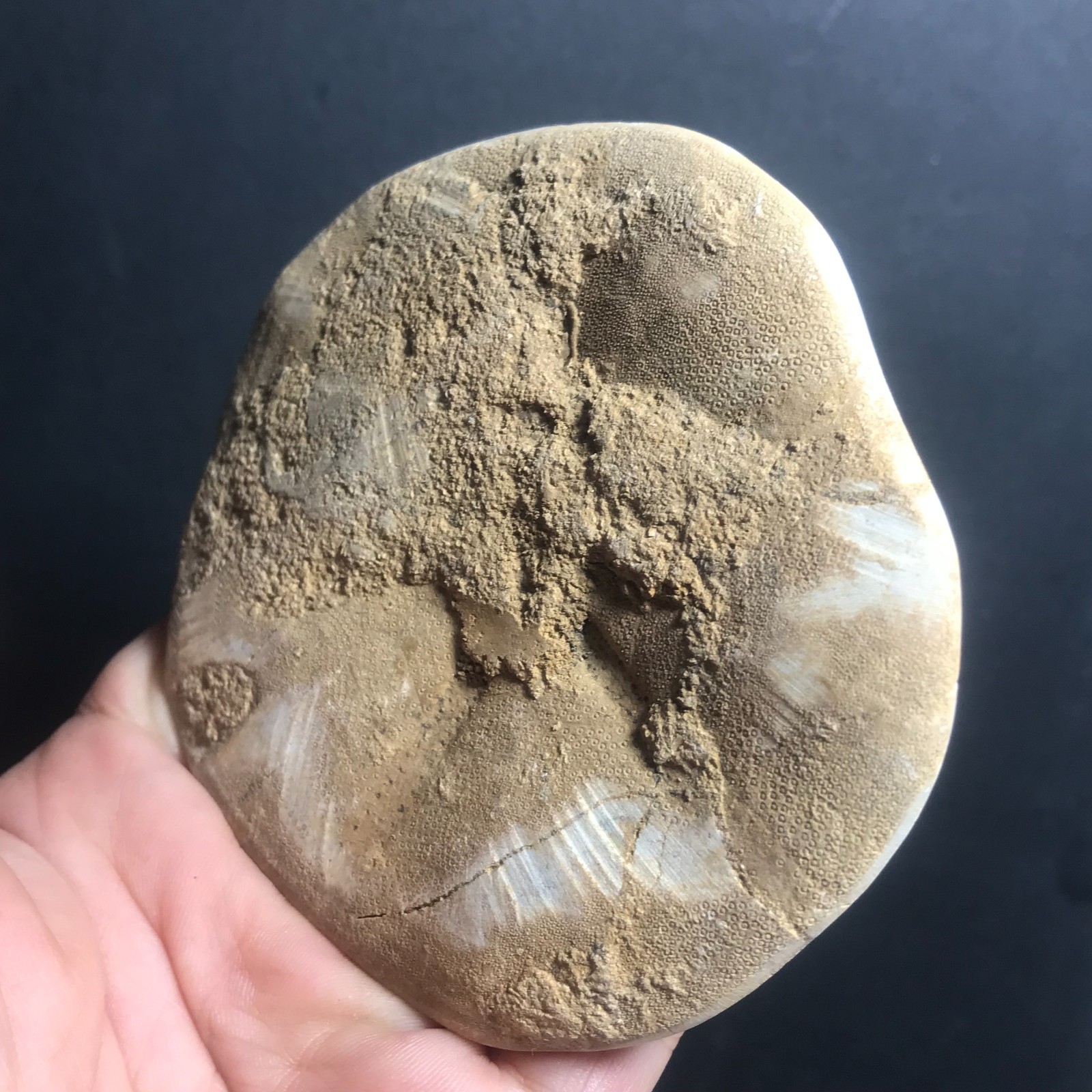 213g Starfish Crystal Specimen 09