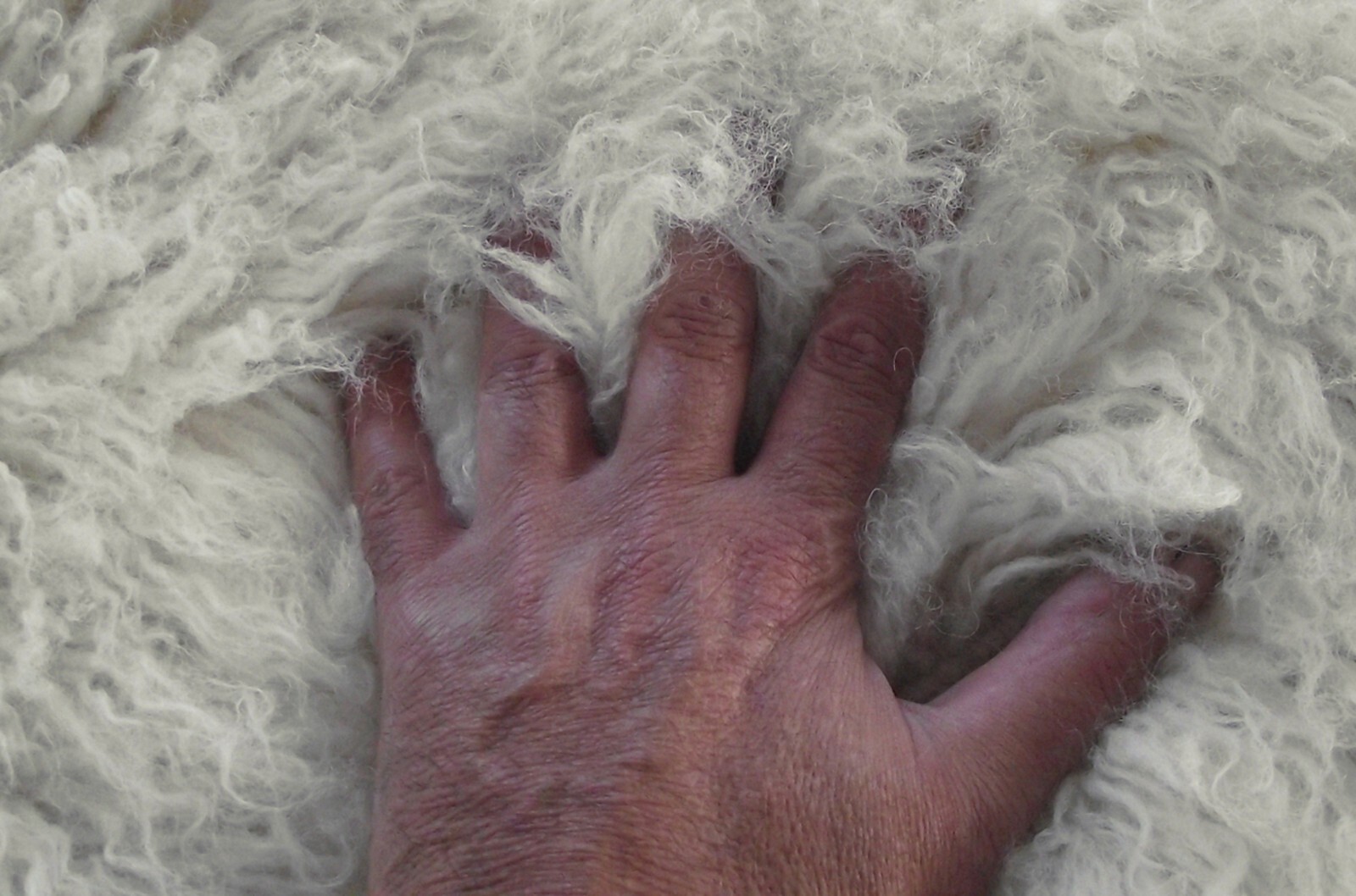 CLASSIC FLOKATI SHAG RUGS | LONG 3" PILE | GREAT QUALITY | WOOL AREA RUGS