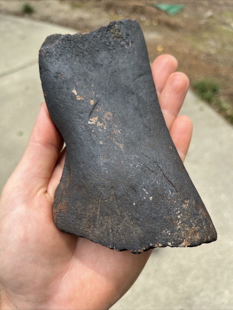 Fossilized Extinct Baleen Whale Rib Bone Fossil Segment- Not Modern (EB-13)