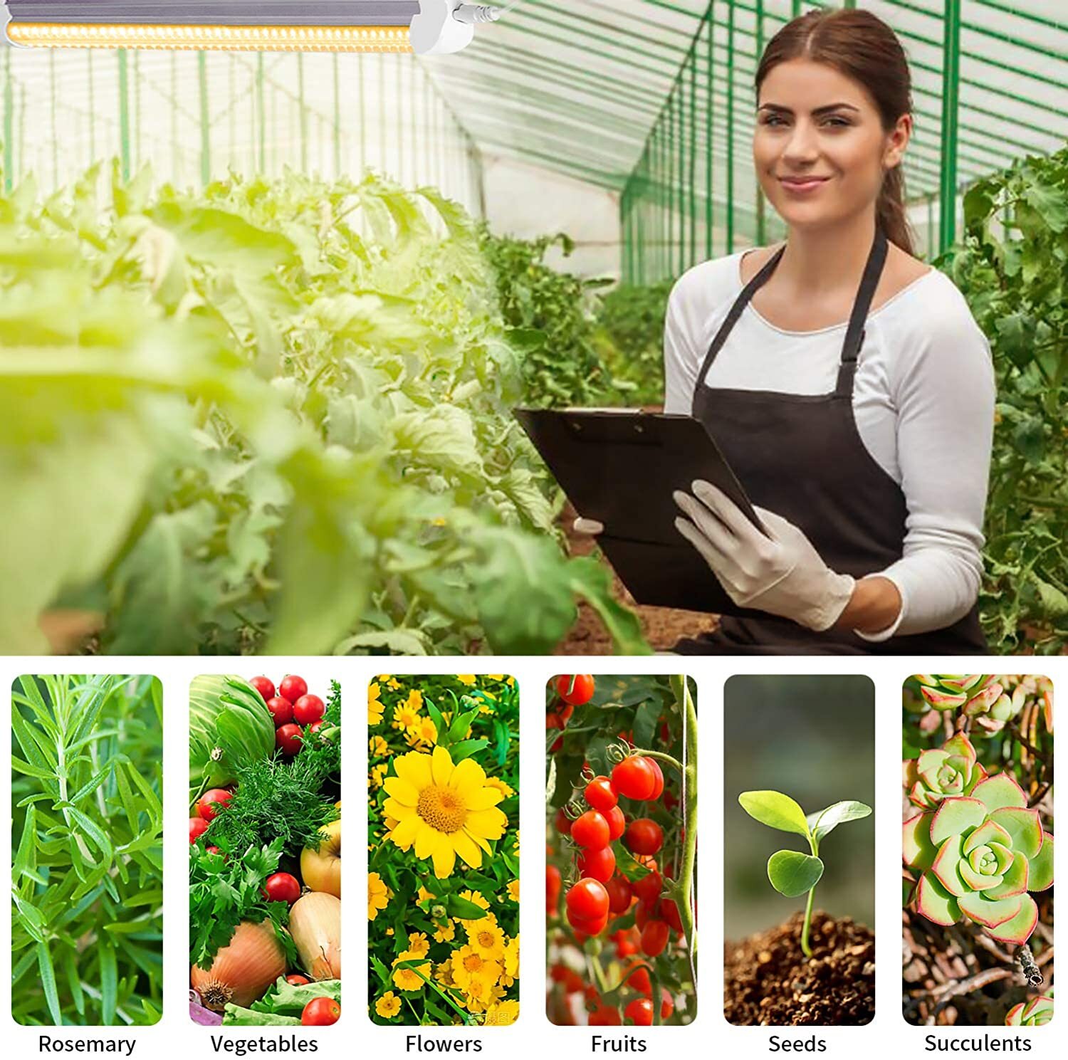 T8 4FT 50W LED Grow Lights Full Spectrum 3000K LED Tube Light Fixture With Timer