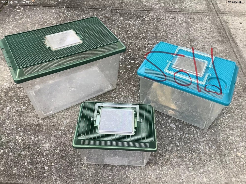 Small Animal/ Insect/ Bug & Reptile Containers