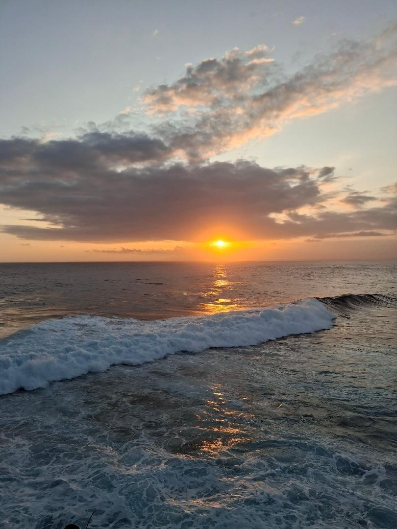 1,000,000 Indonesian Rupiah 50K Note x 20 Cir Coa Included