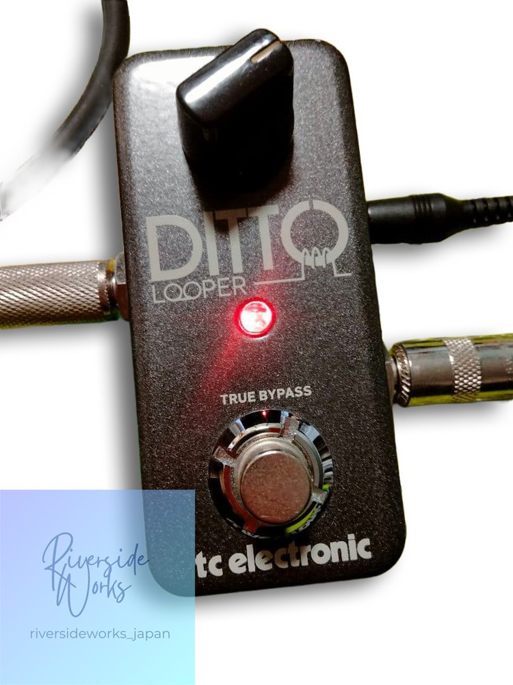 Unused Ditto Looper TC Electronic with Original Box