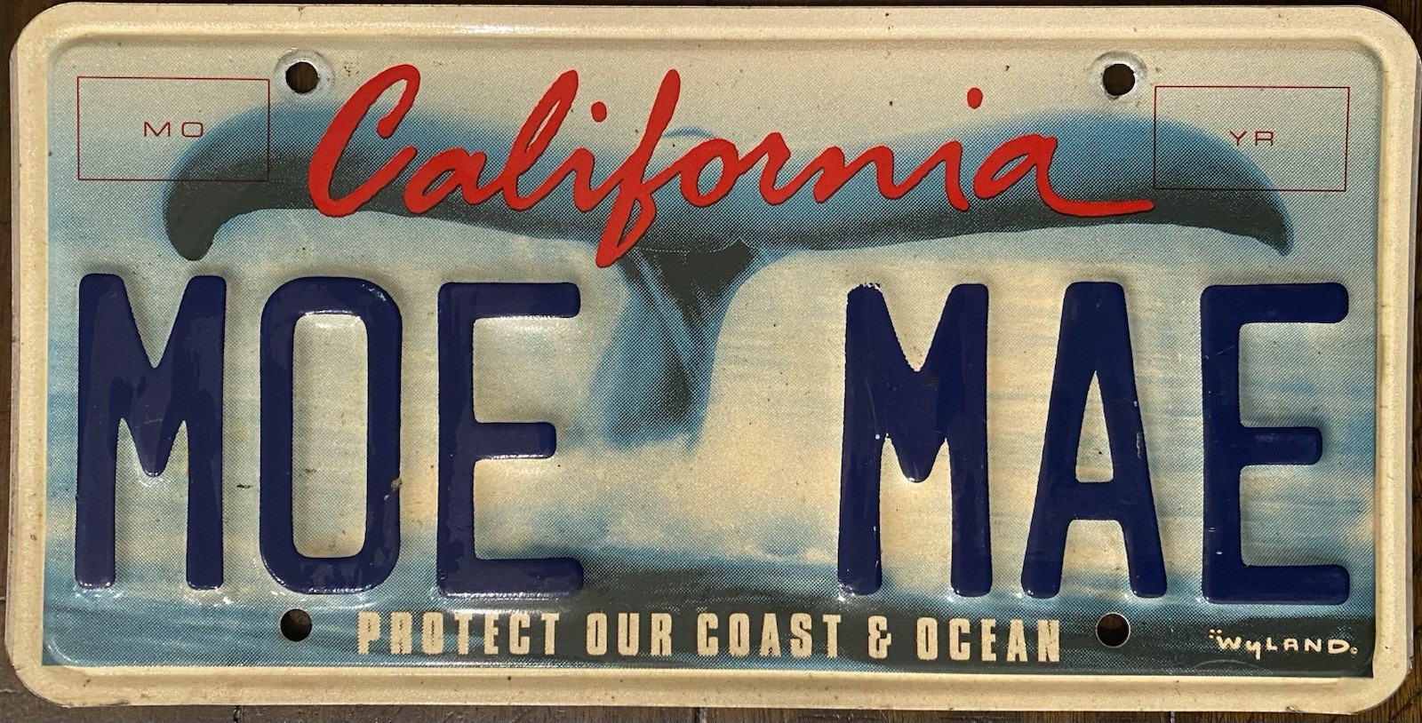 2001 California Whale Tail Vanity License Plate