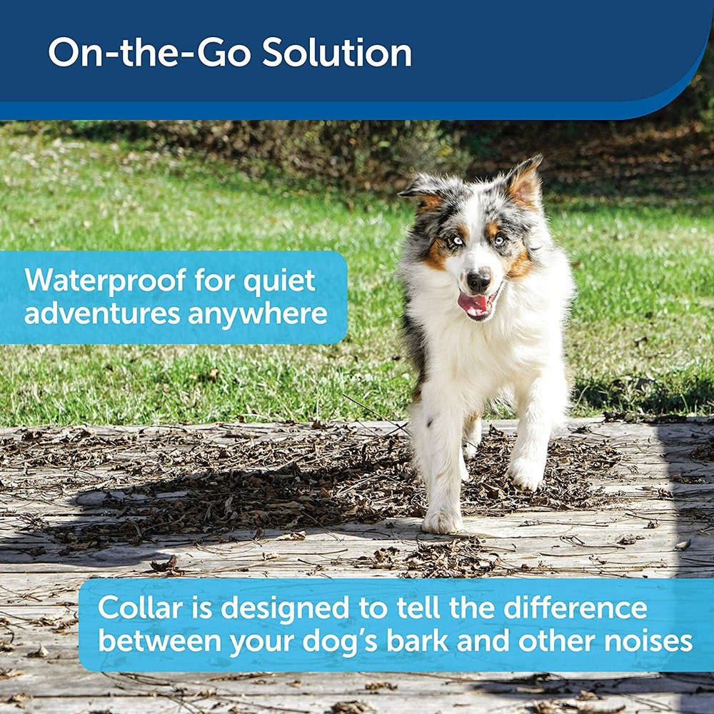 PetSafe Dog Stop Bark Shock Static Automatic Collar Training Pet Trainer Medium