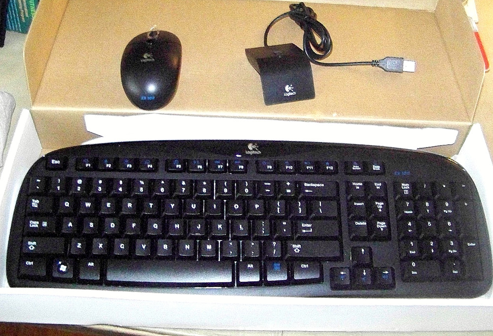 Logitech EX 100 Cordless Desktop Keyboard and Mouse Set Wireless