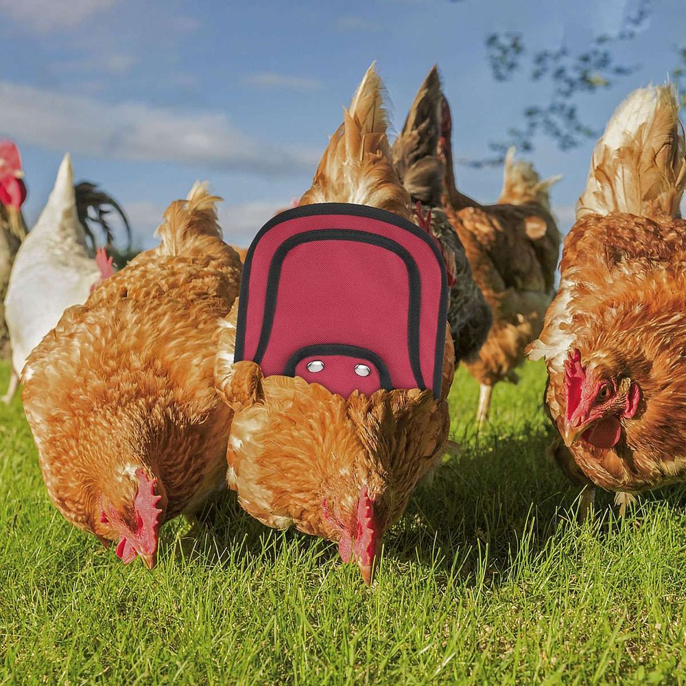 Chicken Saddle Apron Hen Back for Protection Backyard Poultry Protector