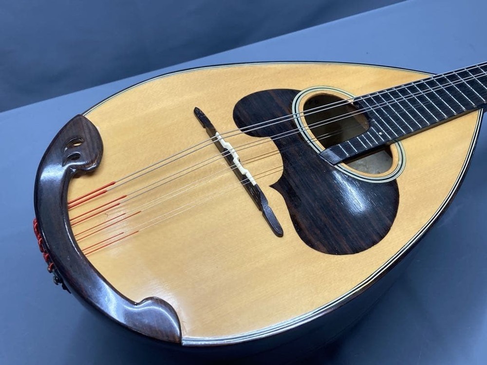 Mandolin Suzuki M-60