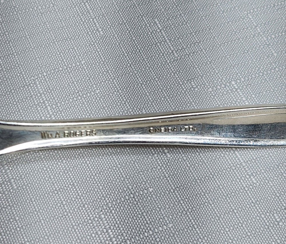 GRAVY LADLE VALLEY ROSE PATTERN ONEIDA ROGERS FLATWARE SILVER PLATE