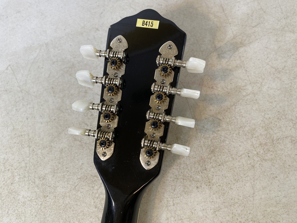 Mandolin BB B415 Instrument case & Accessories 41S9