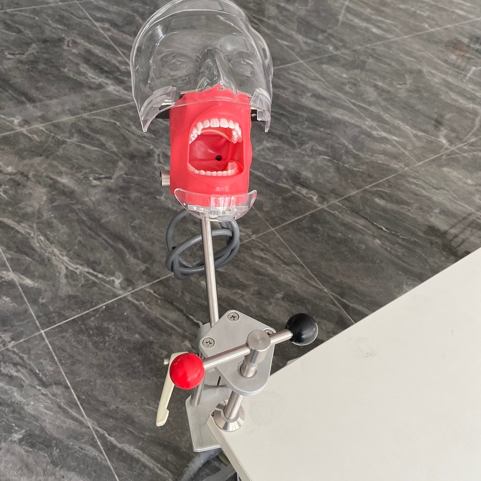 Dental Simulator Manikin Phantom Head Model Training Model Installing on Table
