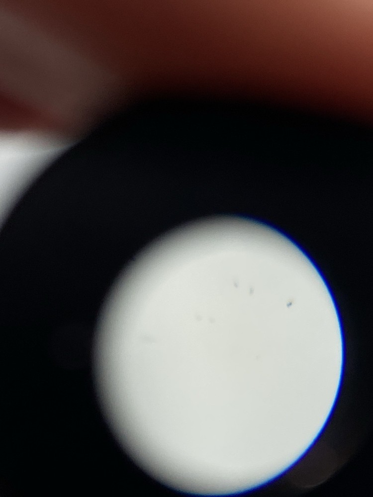 Nikon PhL Plan 4 / 0.13 DL 160 / - Phase Contrast Microscope Objective