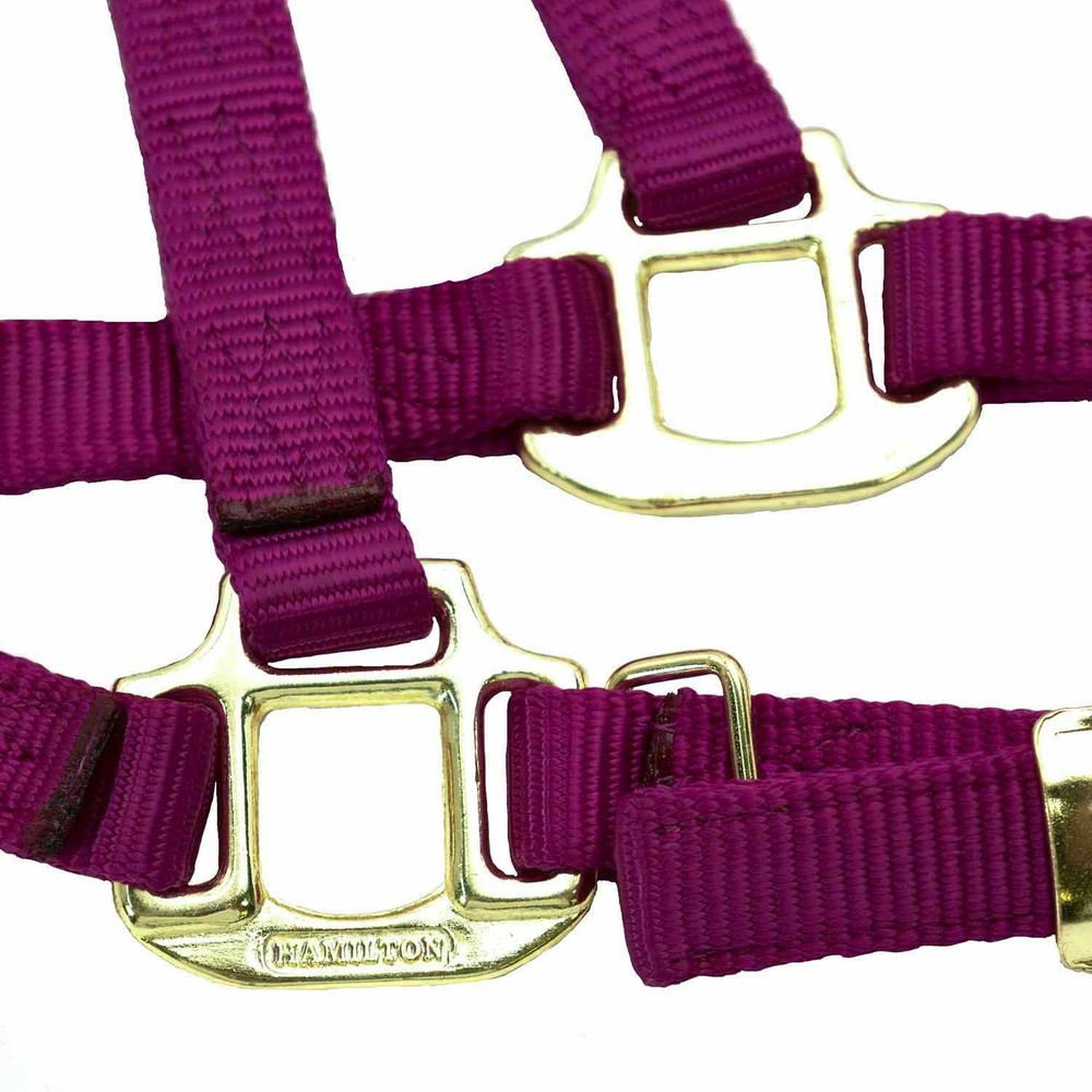 Adj Large Horse Halter Wine