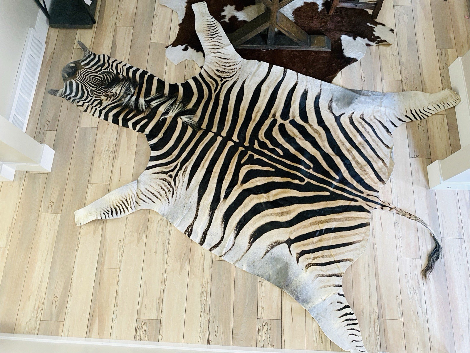 BEAUTIFUL GENUINE EQUUS BURCHELL ZEBRA SKIN RUG HIDE - US SHIPPER