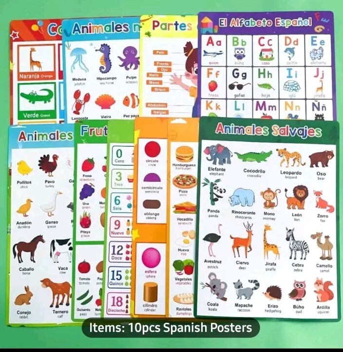 10 Theme Laminated Spanish Words Learning Chart Cards Classroom Teaching Aids