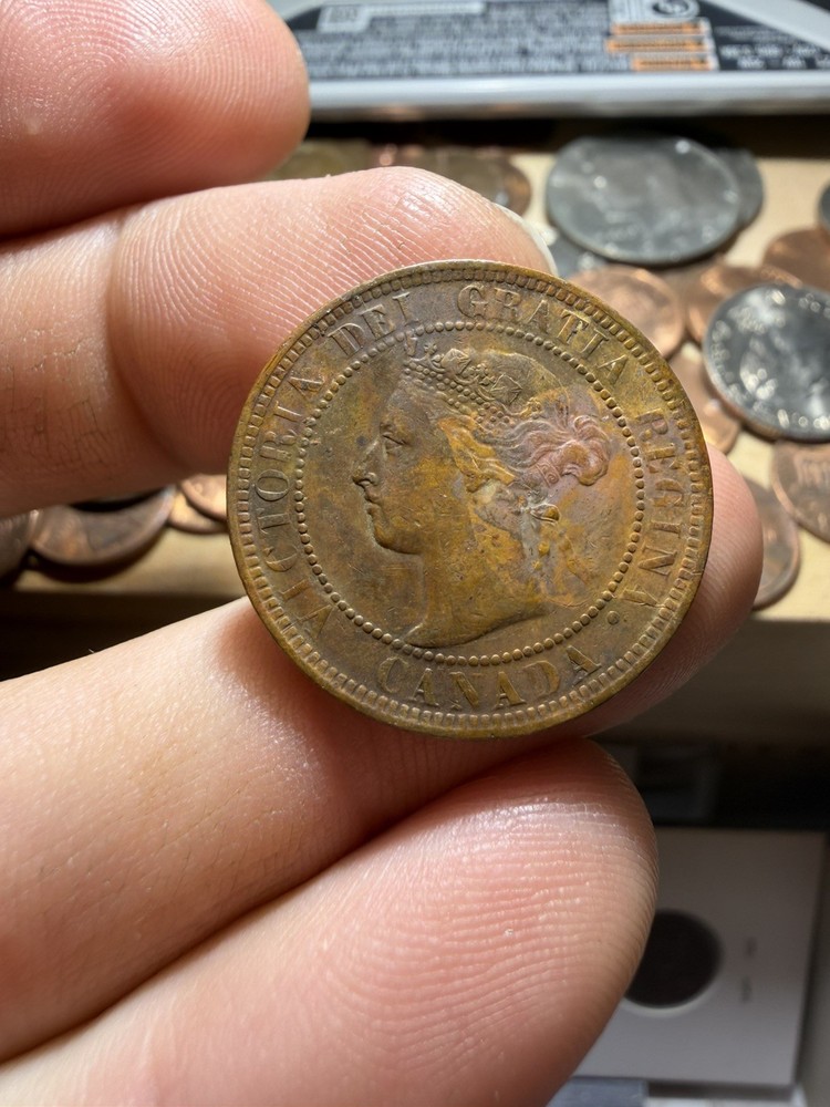 Canada Large Cent Lot
