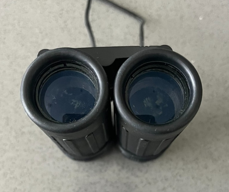 Bushnell Compact Binoculars 8 X 21