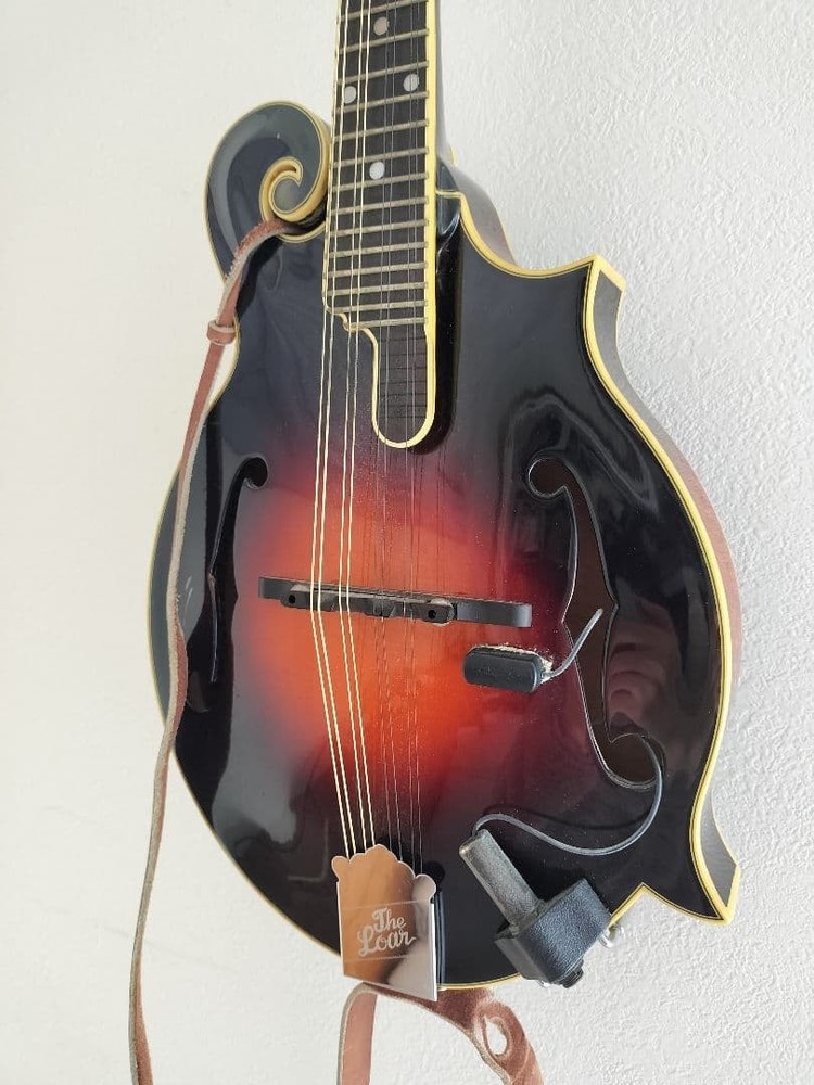 The Loar flat mandolin