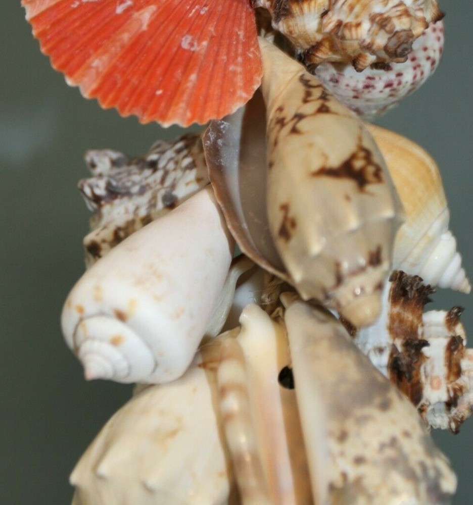 SHELL MOBILE, Beach Home Deck Decor, Hanging Shell Decor, Bath Decor, G-04
