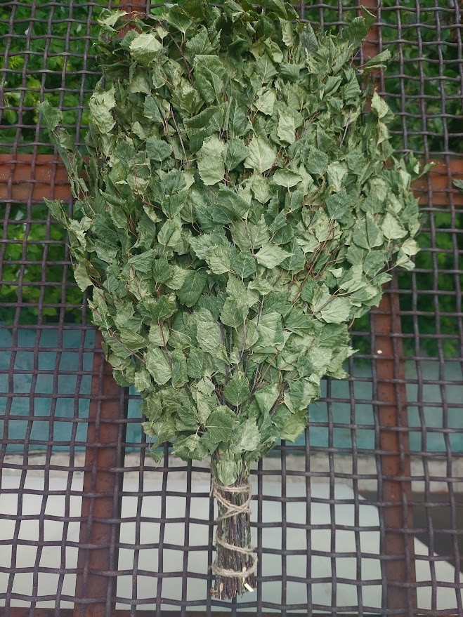 12st Birch brooms sauna banya venik whisks Eiche 2025 Ukrainian free shipping