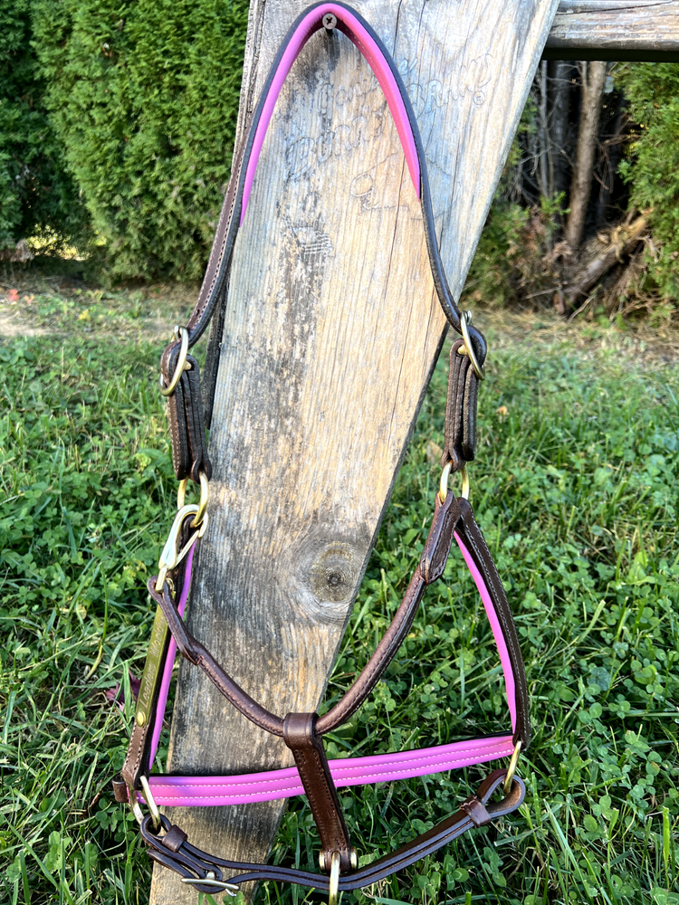Leaders 3/4" Leather Halter Pink Padded with Solid Brass Hardware