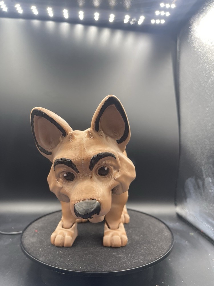 Jerry, the German Shepherd!