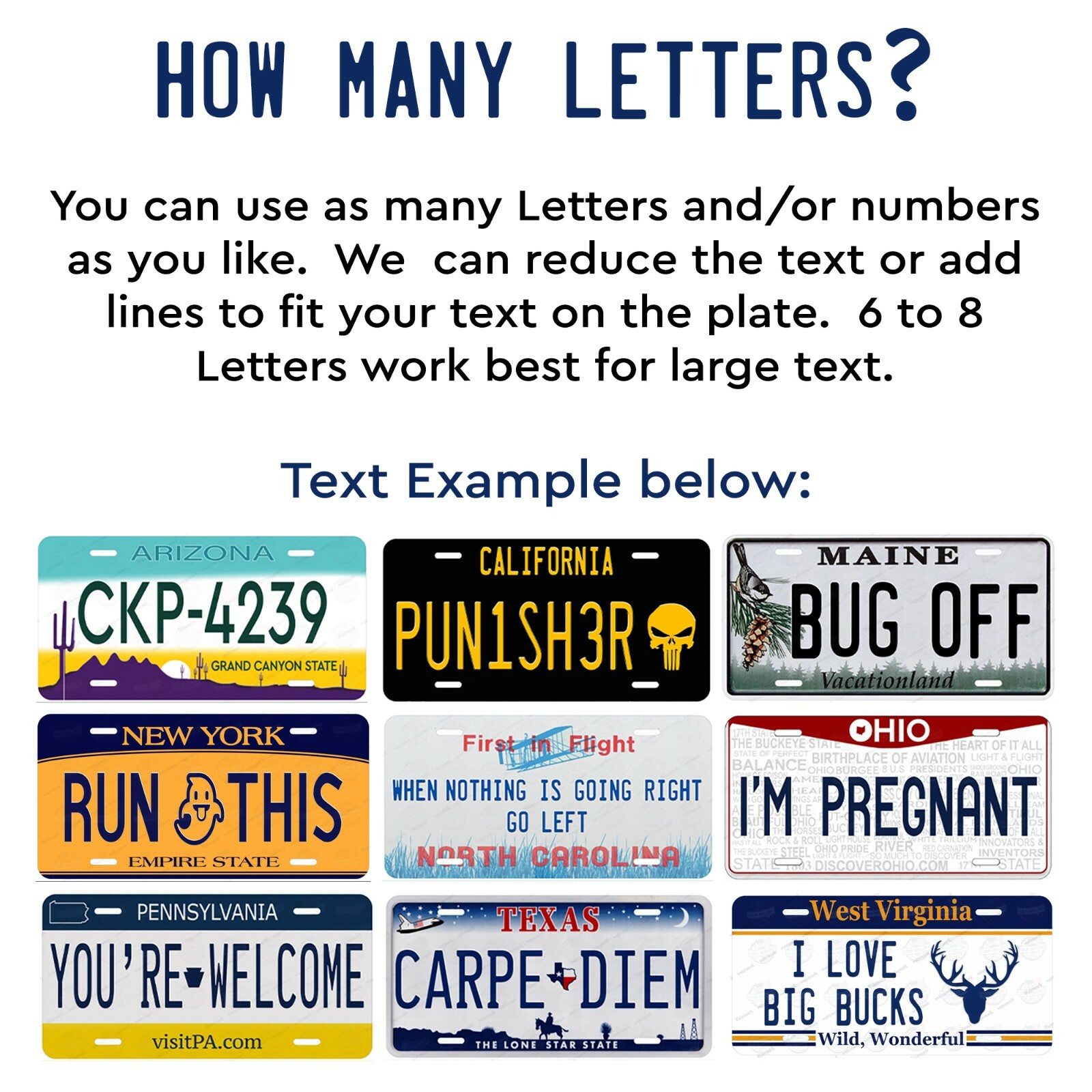 Any State License Plate Tag Personalized Custom Any Text Auto Car Bike Bicycle