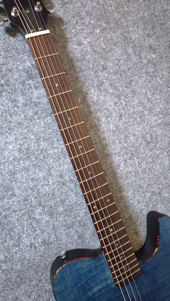 SCHECTER OL-FL-FM-P SSTB (2024) (no260403)