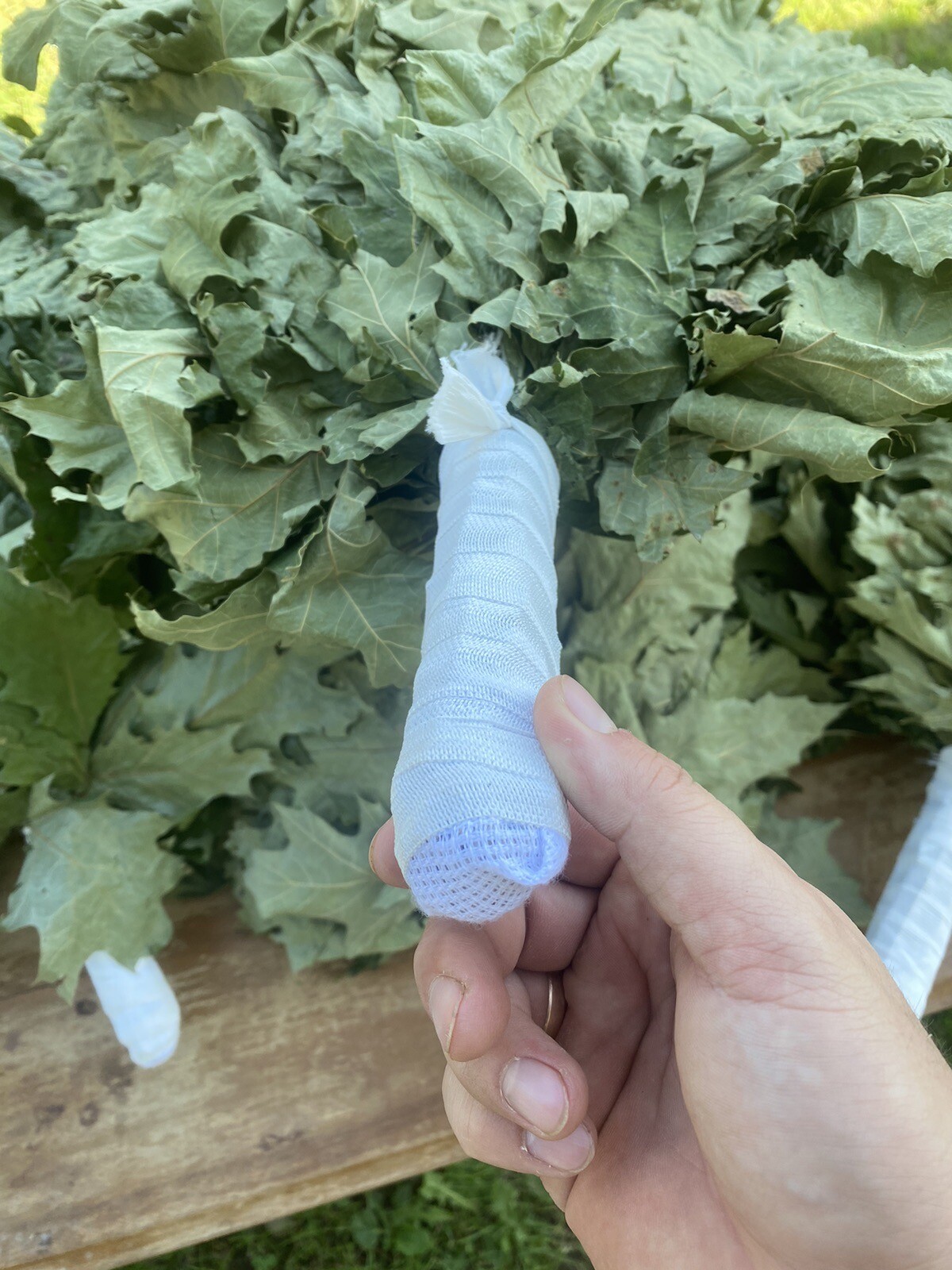 10 Oak whisks, banya brooms, whisks, venik, Birkenreisige, Venik, sauna