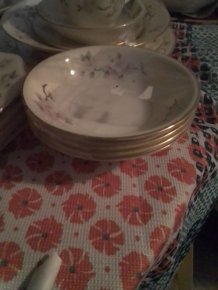 Vintage Eggshell Nautilus