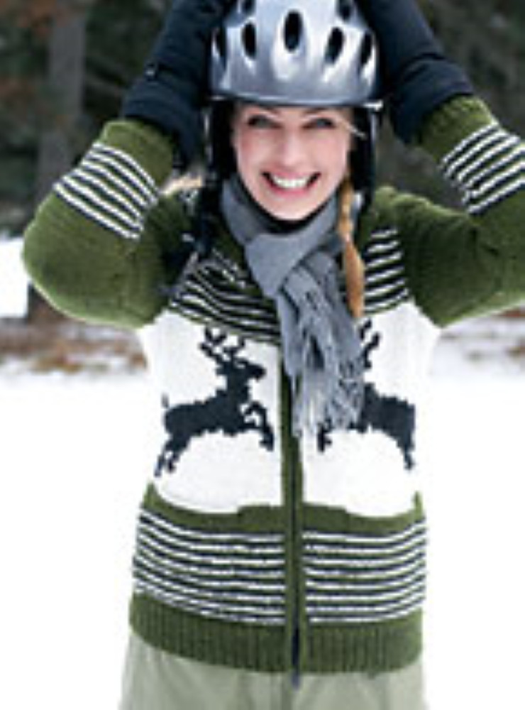 Snow Country Patons Pattern Book 500851