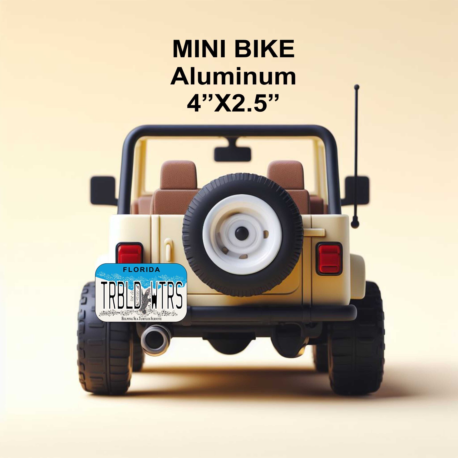 New York 2020 License Plate Personalized Custom Car Auto Bike Motorcycle Moped